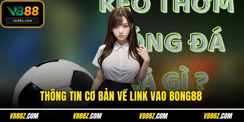Thông tin cơ bản về link vao bong88